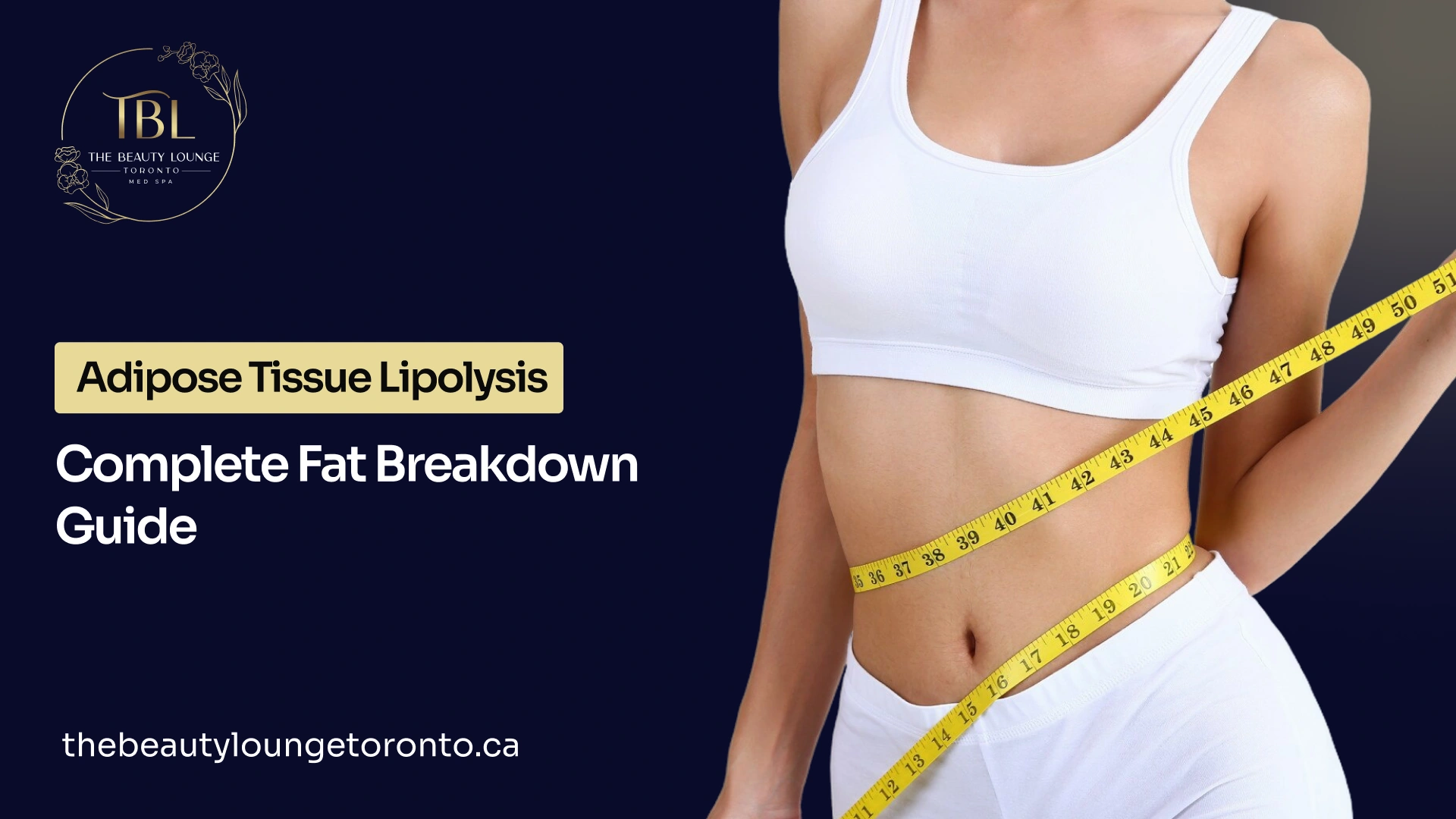 Overview on adipose tissue lipolysis fat breakdown process in energy metabolism.