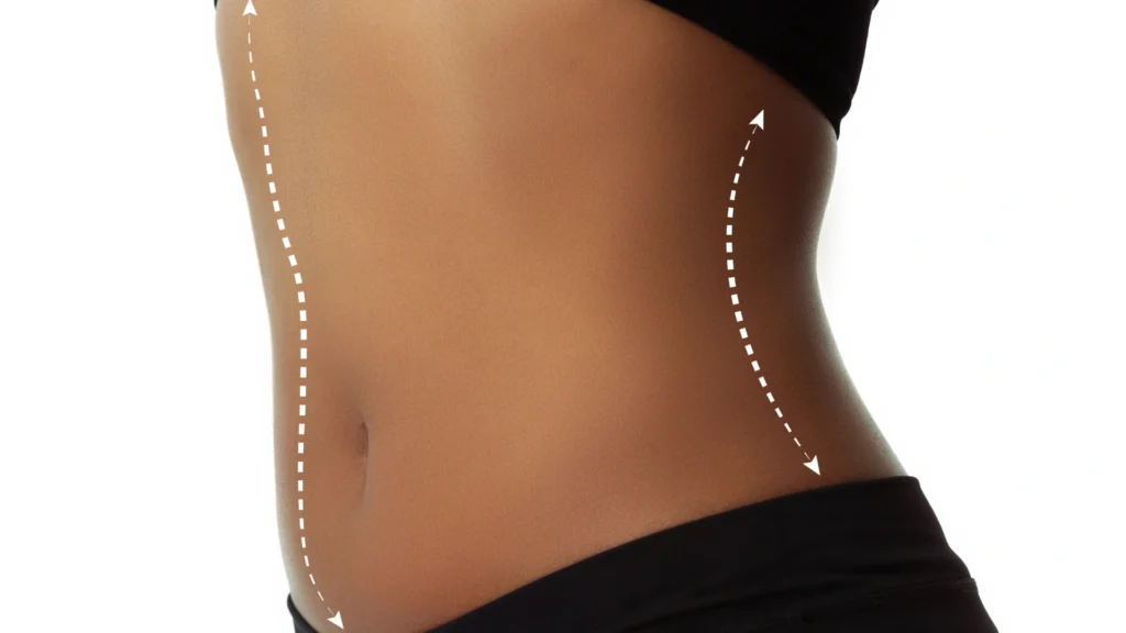 Catabolic vs anabolic process with insights into lipogenesis vs lipolysis.