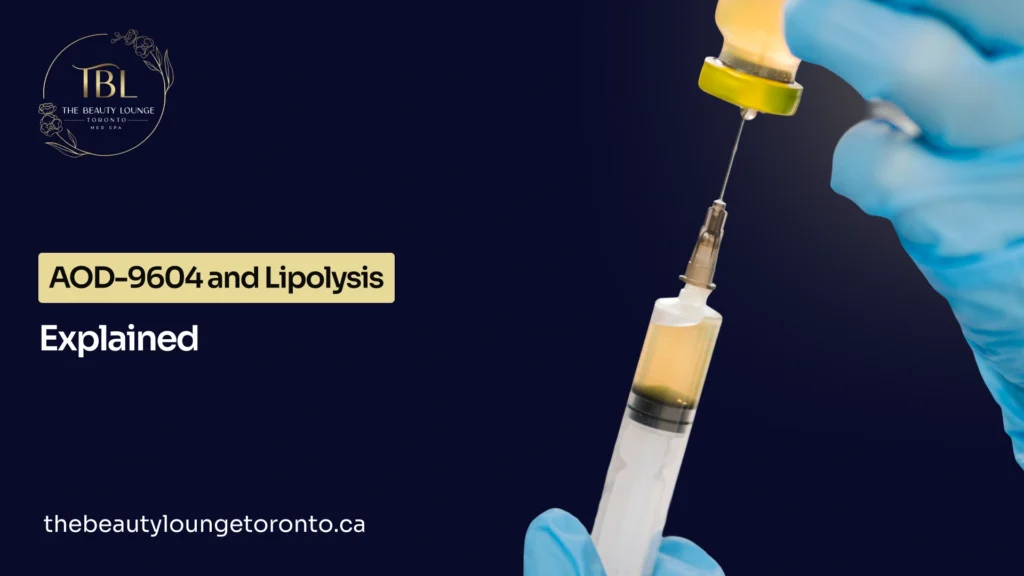AOD-9604 and Lipolysis: How It May Influence Lipolysis and Fat Breakdown